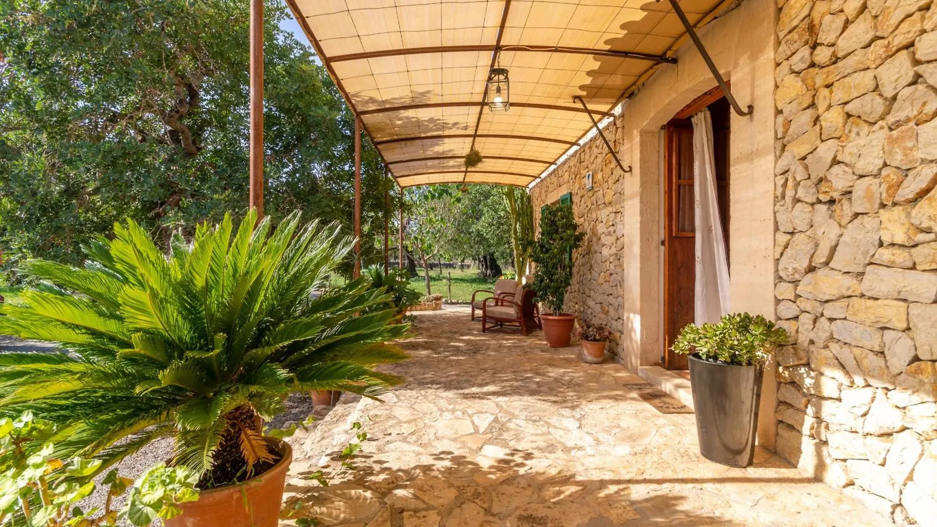 Selva - 40717 Mallorca إسبانيا